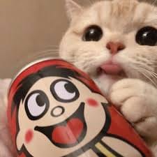 Sandro Marcos avatar